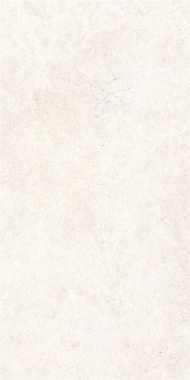 OL Limestone Bianco Matte 24 x 48